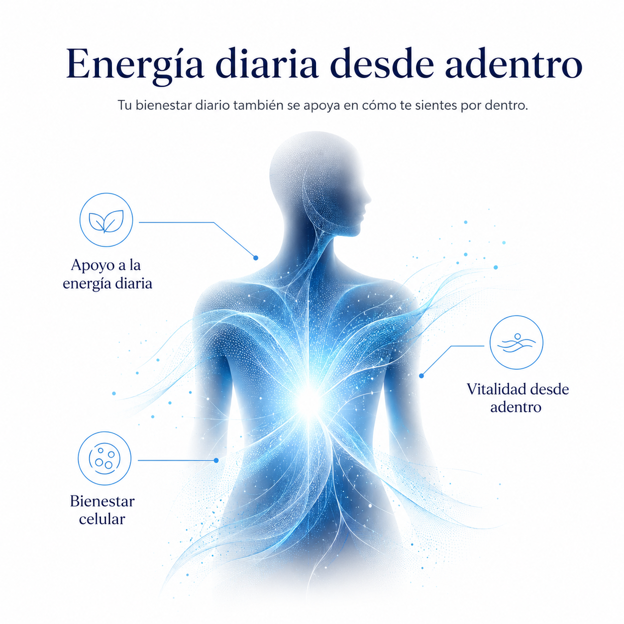 SynergyO2 – Bienestar Diario y Apoyo a la Oxigenación Celular